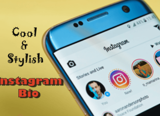 Cool Instagram Bio List